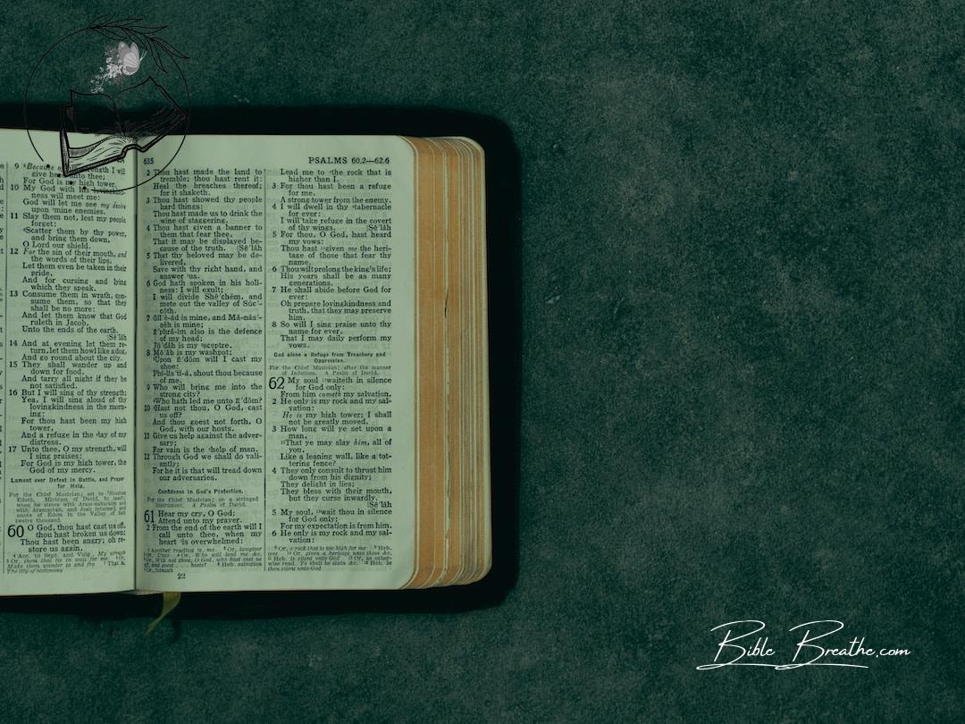 open pocket bible on green surface