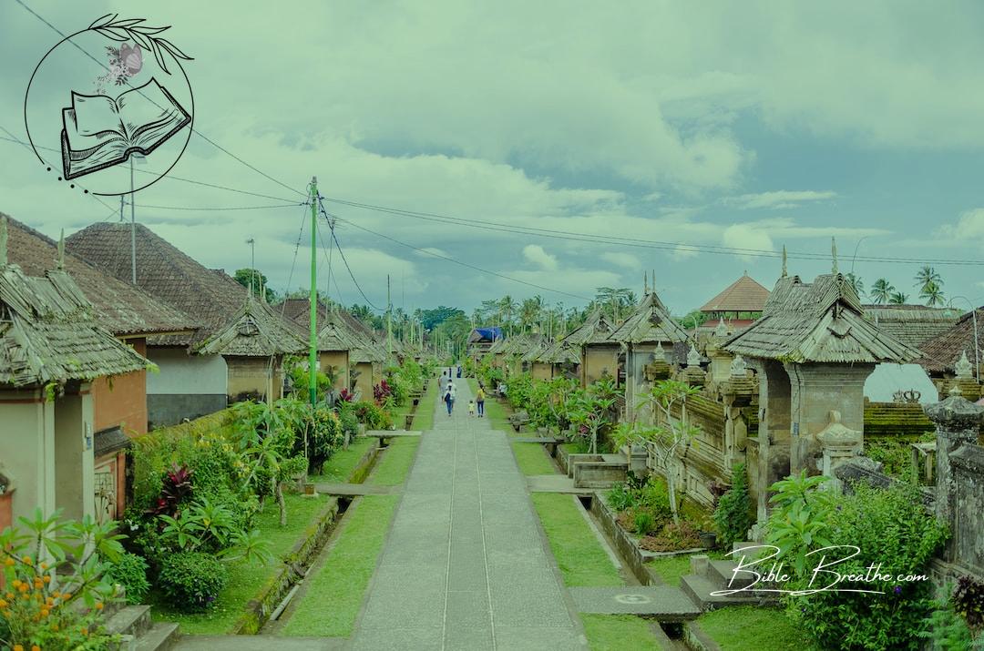a long narrow path between two buildings in a village