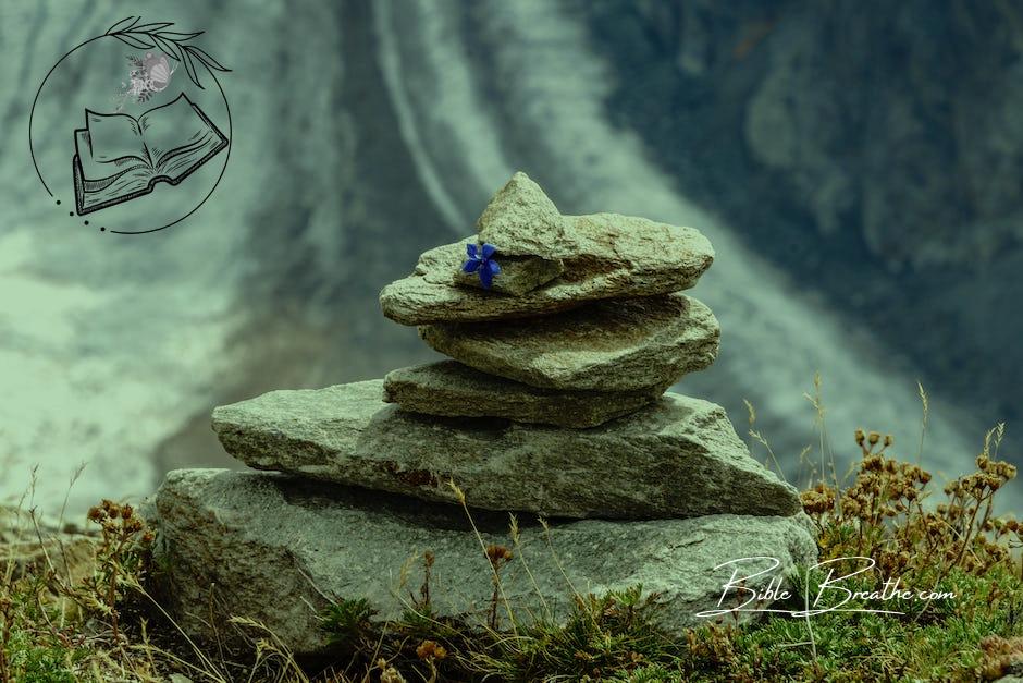 Balancing Stones with Flower