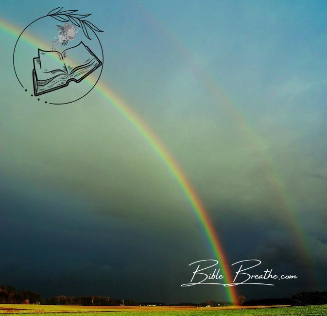 Photography of Rainbow During Cloudy Sky