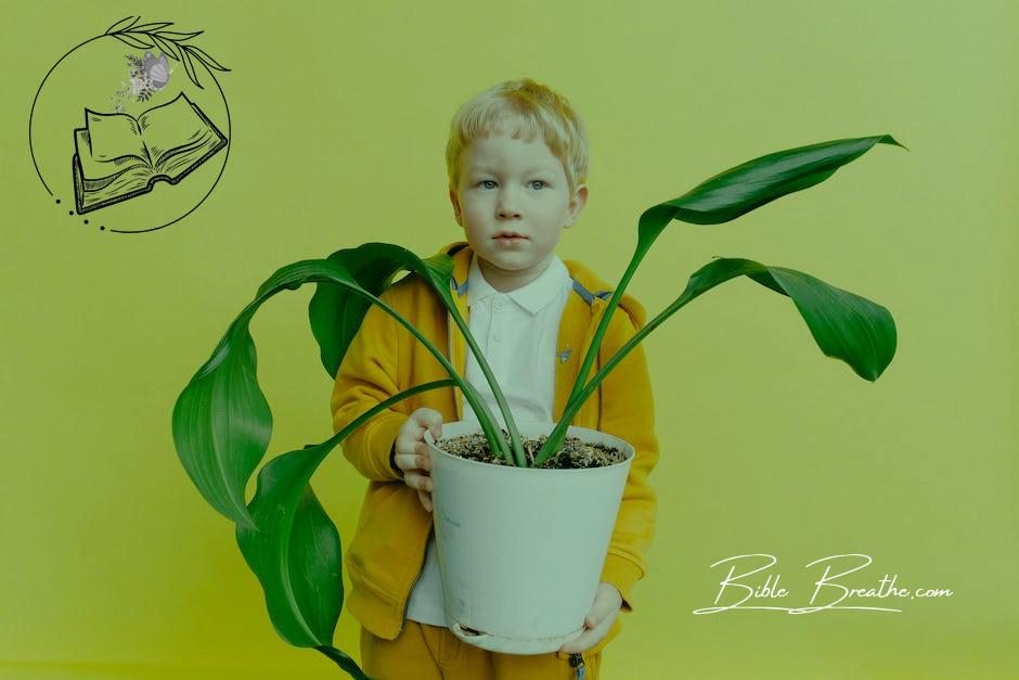 Young Boy in Jacket Holding White Flower Pot