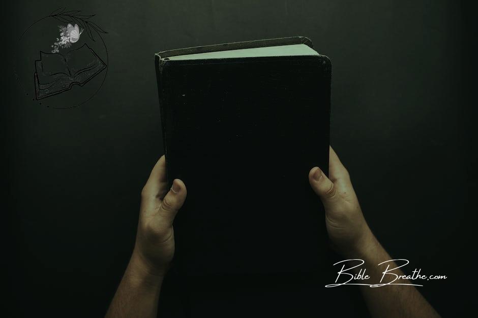 Person Holding Black Cover Bible