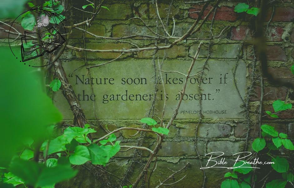 From above author citation on signboard on old brick wall near growing creeping plants with colorful leaves and dry twigs