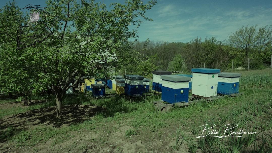 a group of blue and white containers