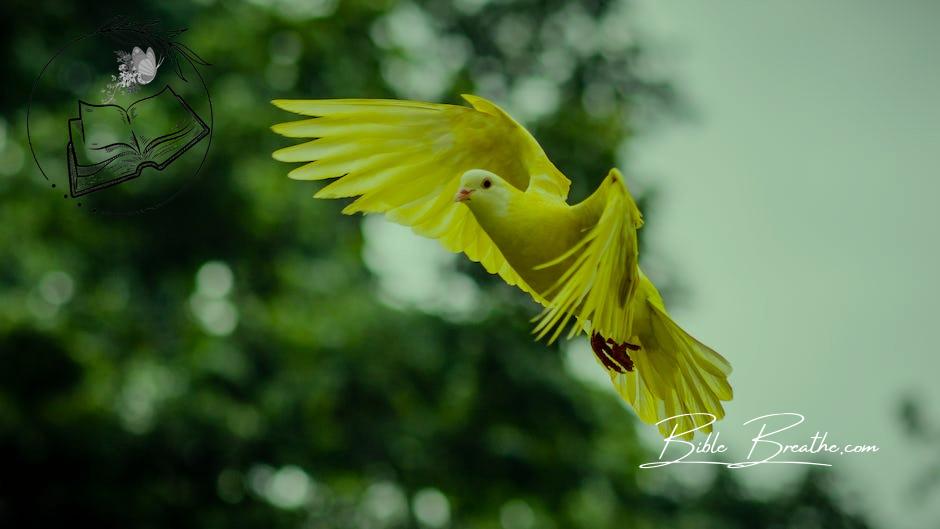 Flying Yellow Bird
