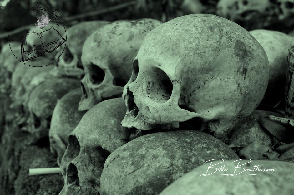 Grey Skulls Piled on Ground
