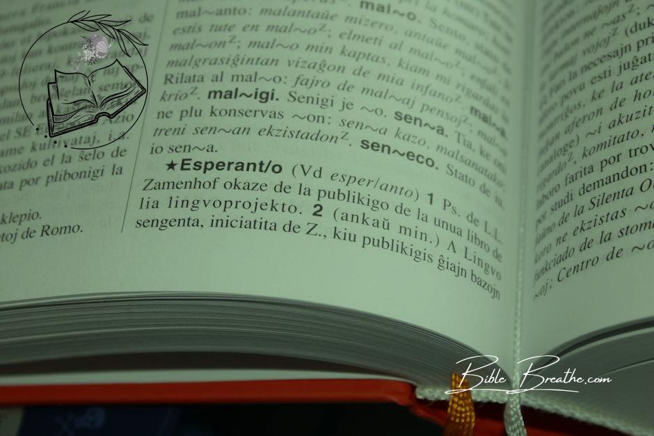 Page of a Dictionary in Close-up Photography
