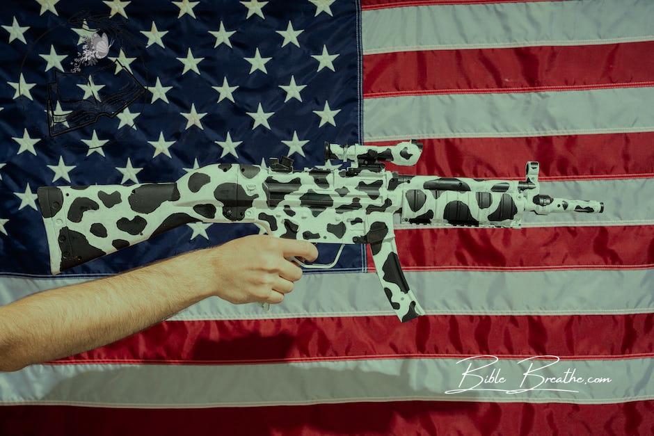 Toy Rifle in Front of an American Flag