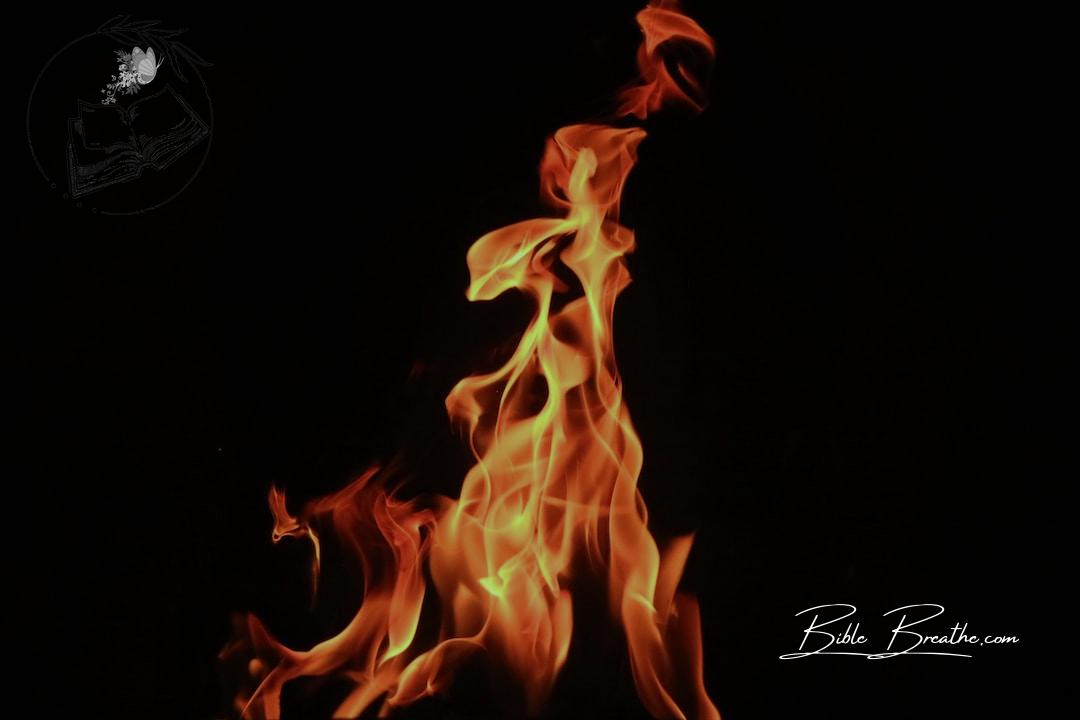 time lapse photography of fire