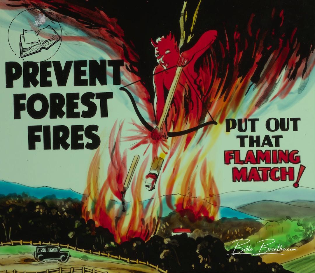 prevent forest fires text overlay