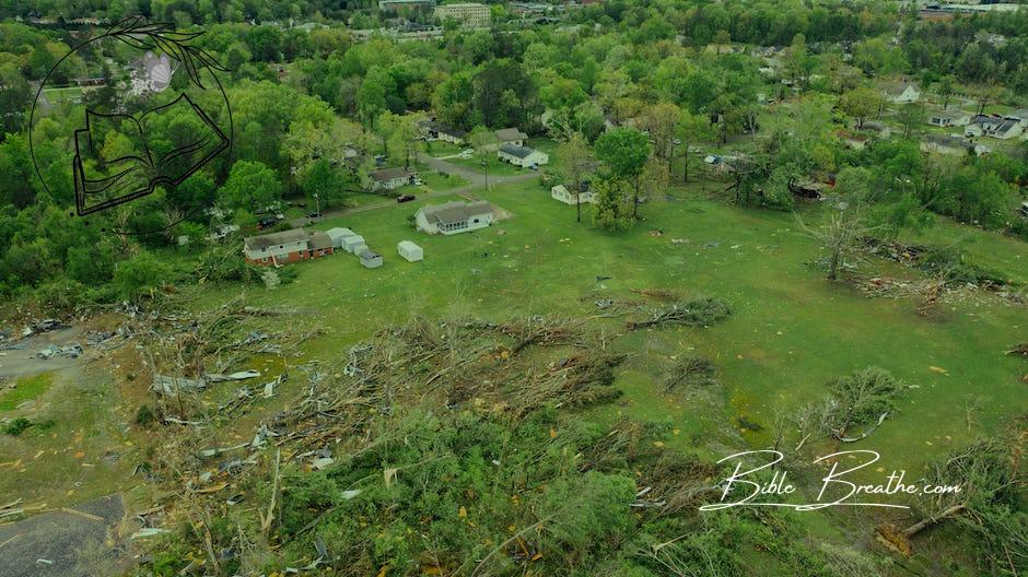 Drone view of uprooted trees heaped on green meadow in small village after massive storm