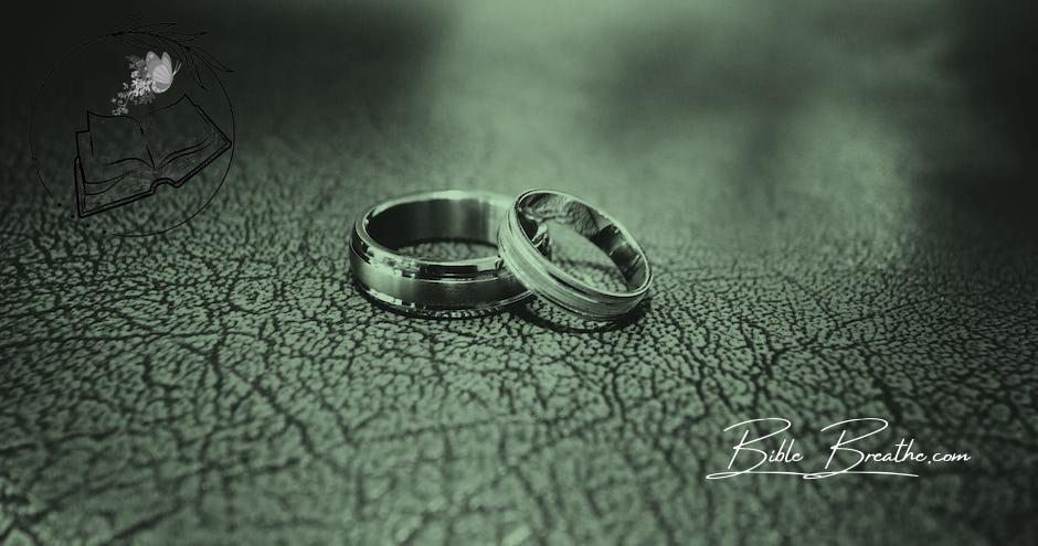 Close-up of Wedding Rings on Floor