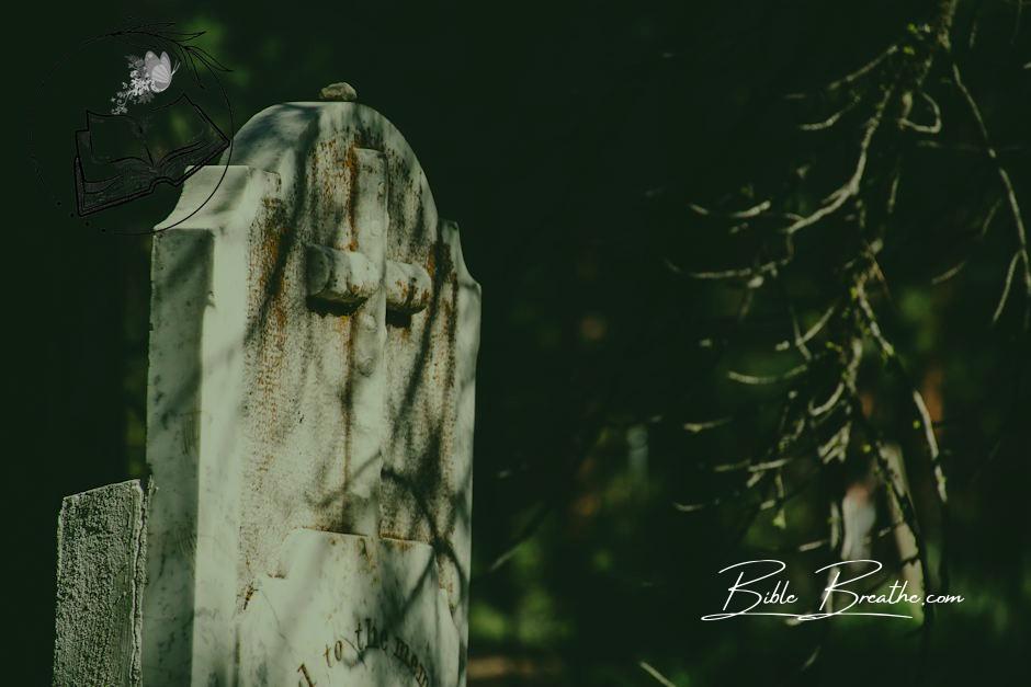 Selective Focus Photography of Tombstone