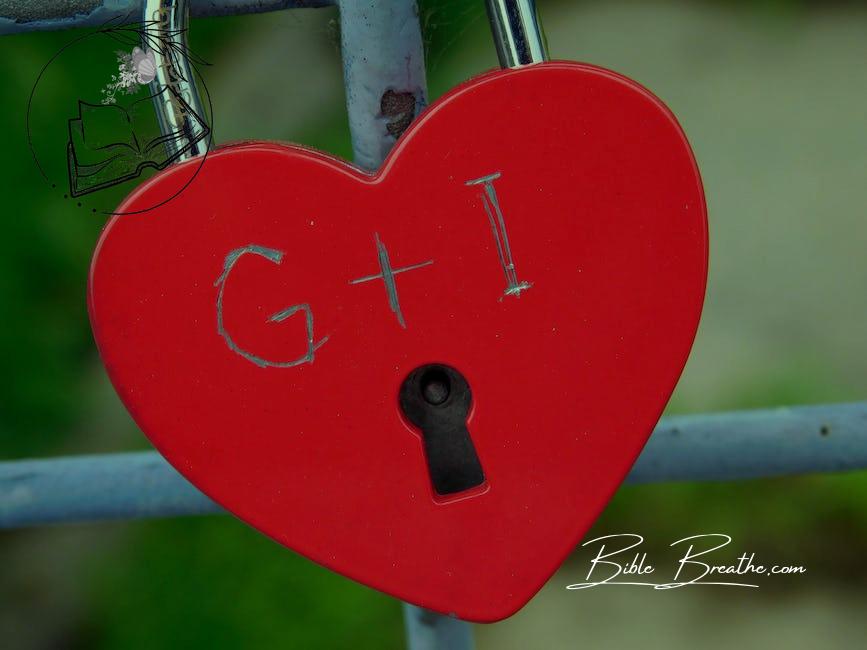 Heart-shape Red Padlock in Selective Focus Photography