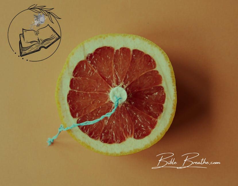 Sliced grapefruit with tampon as symbol of menstruation