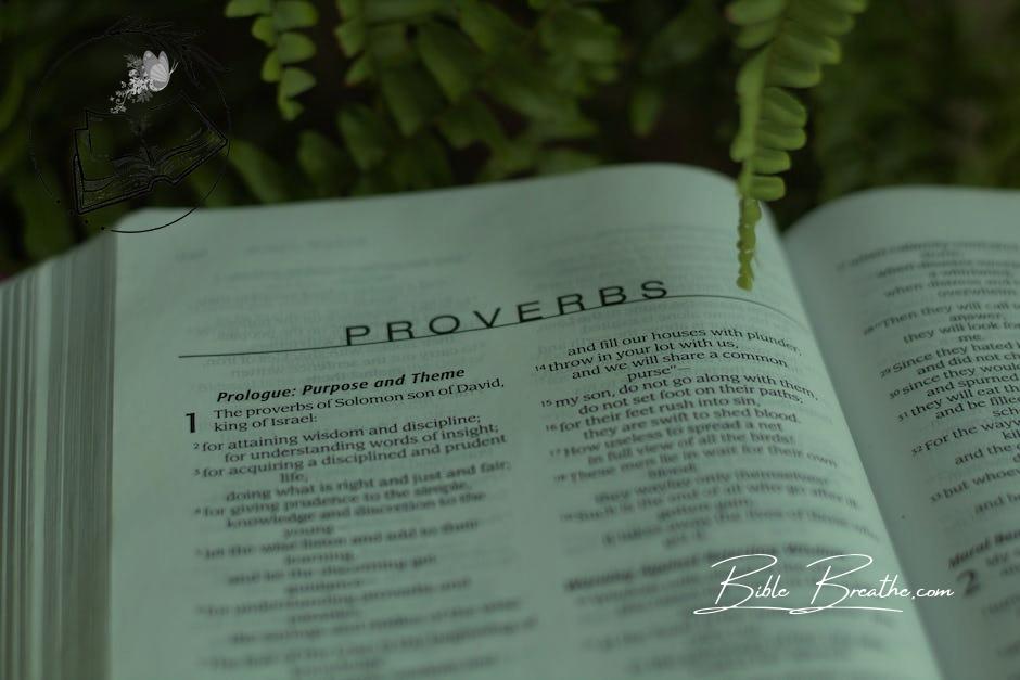 Close-Up Shot of Book of Proverbs