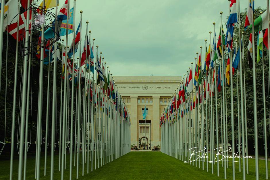 From below of various flags on flagpoles located in green park in front of entrance to the UN headquarters in Geneva