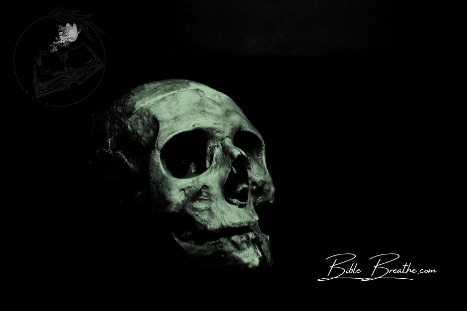 Grayscale Photography of Human Skull