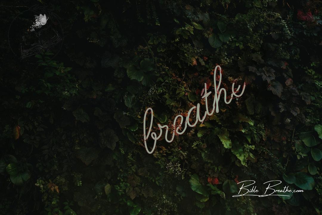 Breathe neon signage