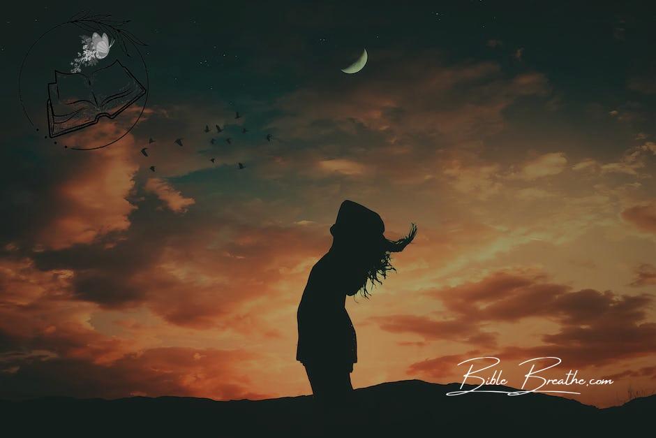 Silhouette Photo of Woman During Dawn