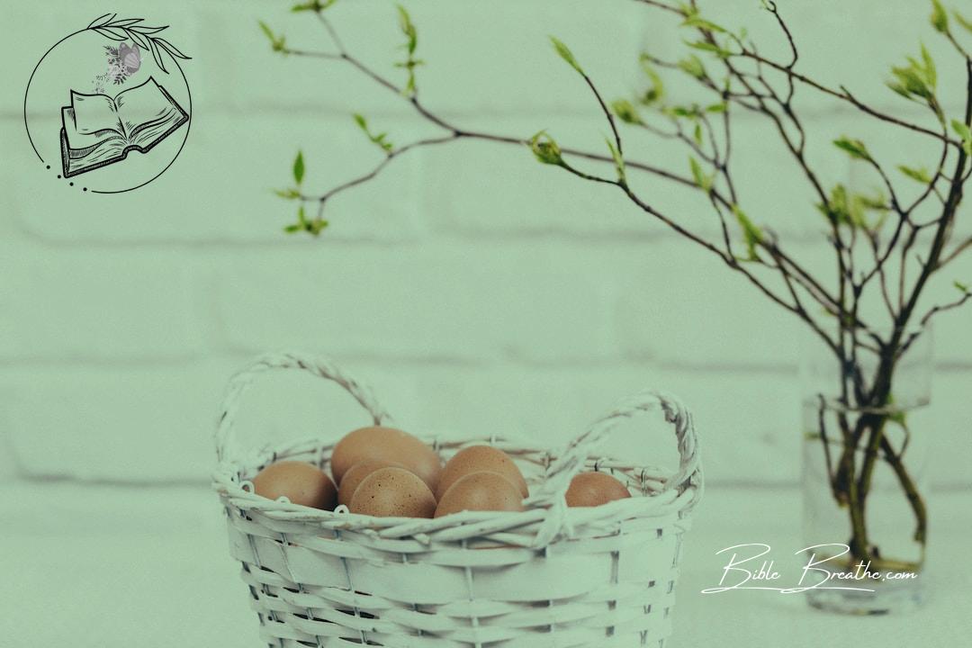 brown eggs on white basket