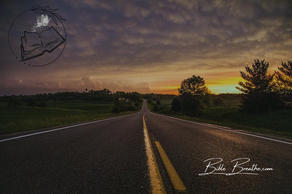 Photo of Empty Road In Between Grass Field During Golden Hour