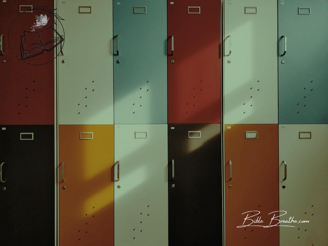 assorted-color lockers