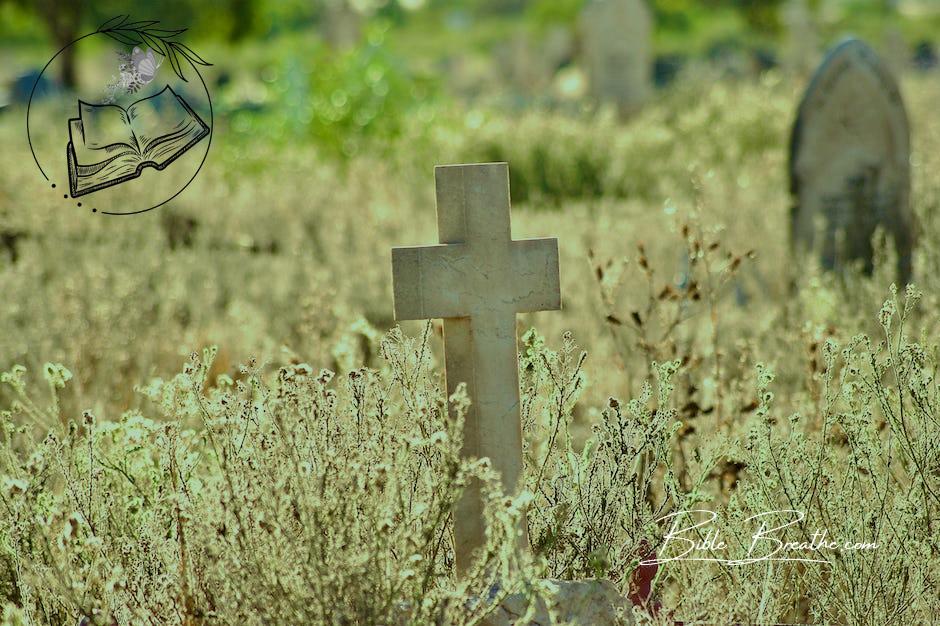 Stone Cross on Cemetery