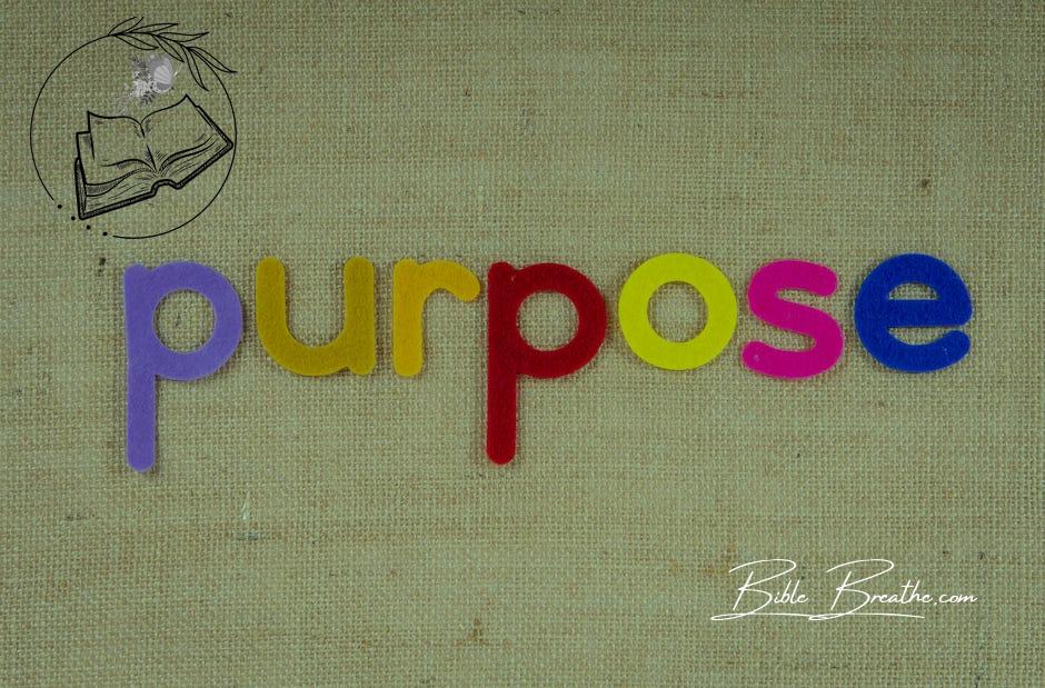 Colorful Cutouts Of The Word Purpose