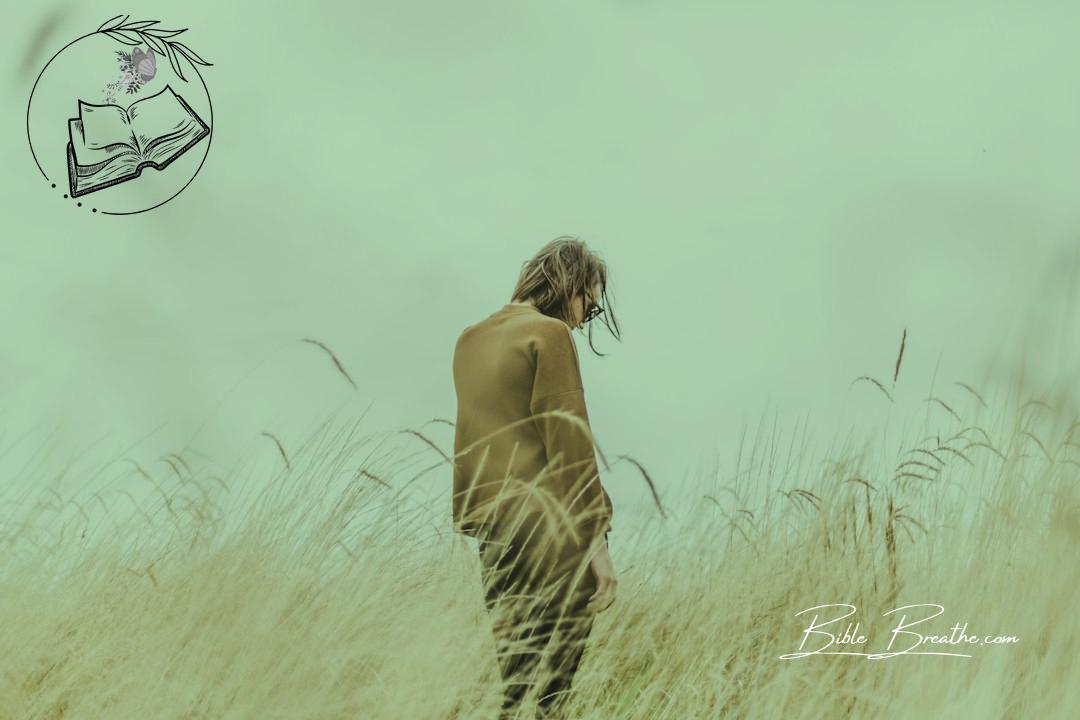 person standing in the middle of wheat field