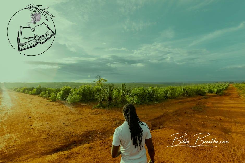 Woman in White T-shirt and Red Shorts Sitting on Brown Field Under White Clouds and