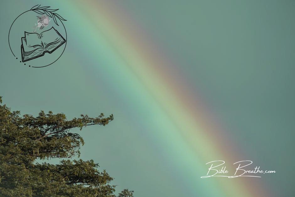 View of Rainbow in Sky