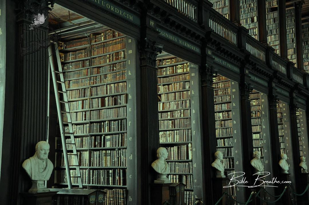a library filled with lots of books and busturines