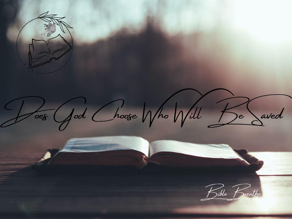 does god choose who will be saved BibleBreathe Featured Image