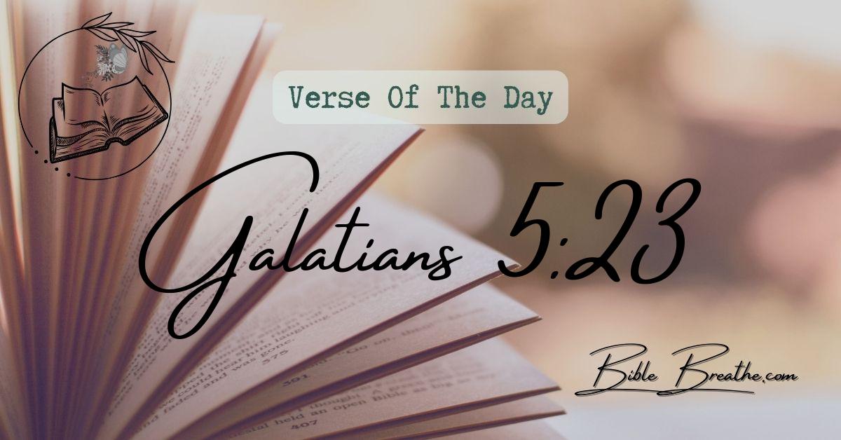Galatians 5:23 Meekness, temperance: against such there is no law. Verse Of The Day BibleBreathe Featured Image