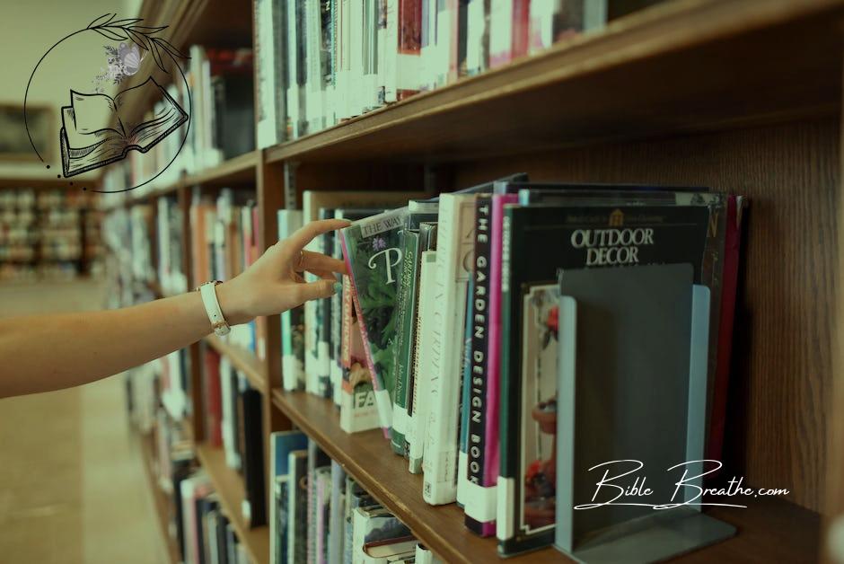 Person Holding Book from Shelf