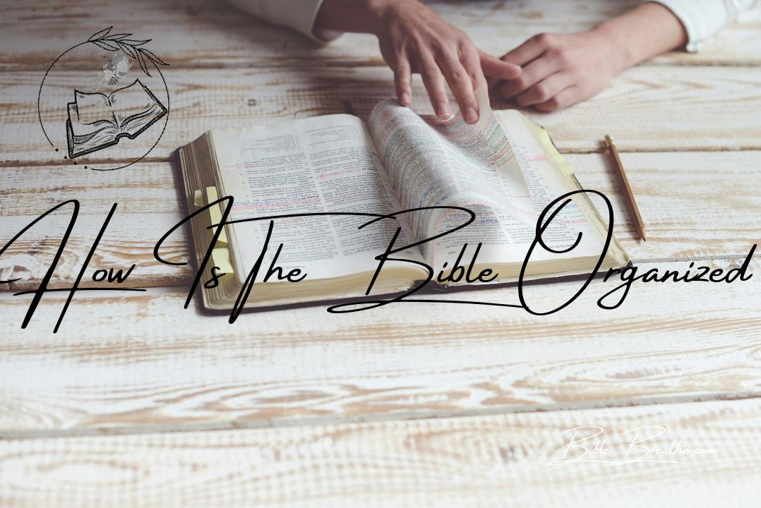 how is the bible organized BibleBreathe Featured Image