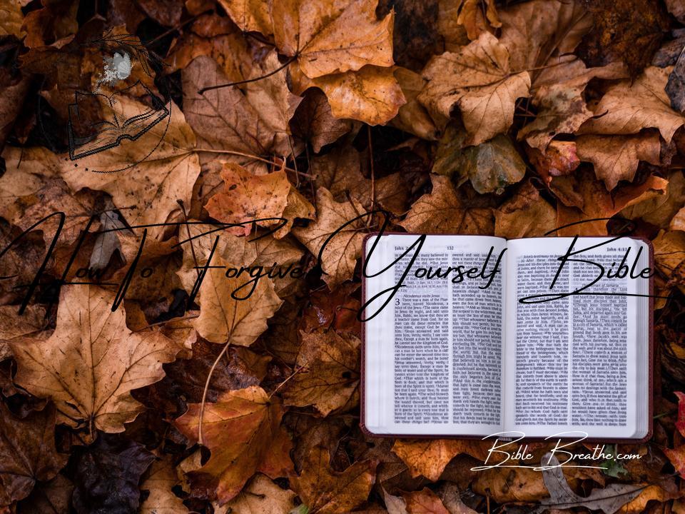 how to forgive yourself bible BibleBreathe Featured Image