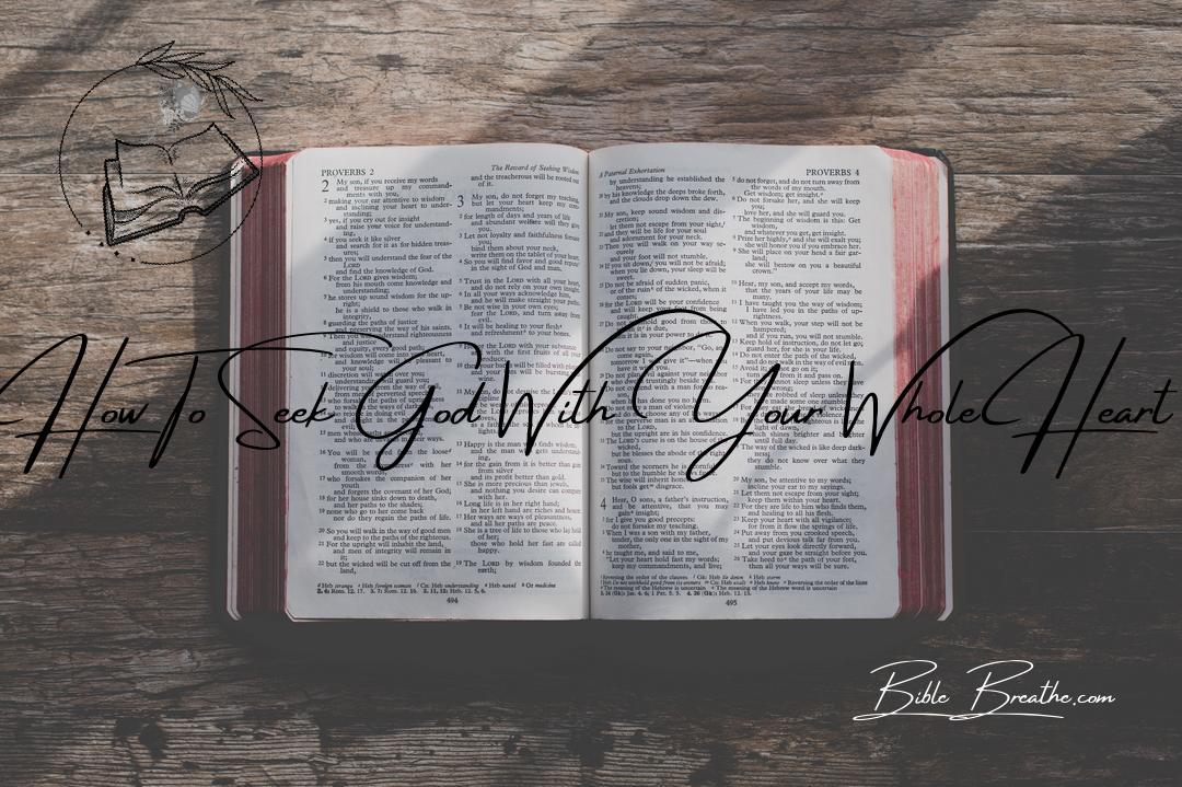 how to seek god with your whole heart BibleBreathe Featured Image