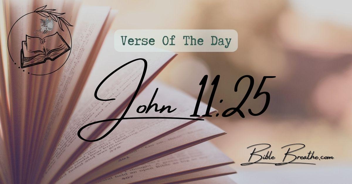 John 11:25 Jesus said unto her, I am the resurrection, and the life: he that believeth in me, though he were dead, yet shall he live: Verse Of The Day BibleBreathe Featured Image