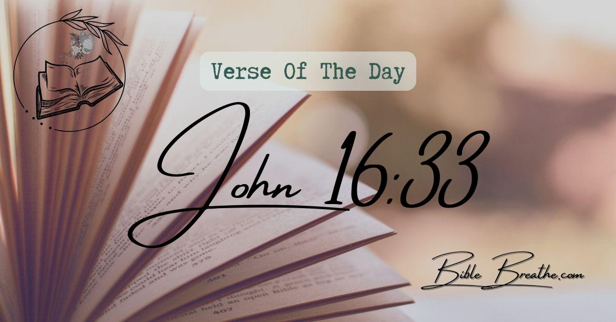 John 16:33 These things I have spoken unto you, that in me ye might have peace. In the world ye shall have tribulation: but be of good cheer; I have overcome the world. Verse Of The Day BibleBreathe Featured Image