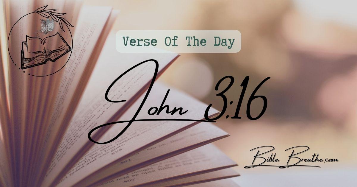 John 3:16 For God so loved the world, that he gave his only begotten Son, that whosoever believeth in him should not perish, but have everlasting life. Verse Of The Day BibleBreathe Featured Image