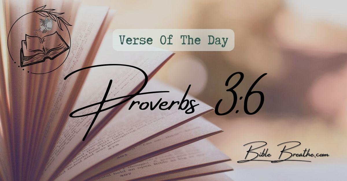 Proverbs 3:6 In all thy ways acknowledge him, and he shall direct thy paths. Verse Of The Day BibleBreathe Featured Image
