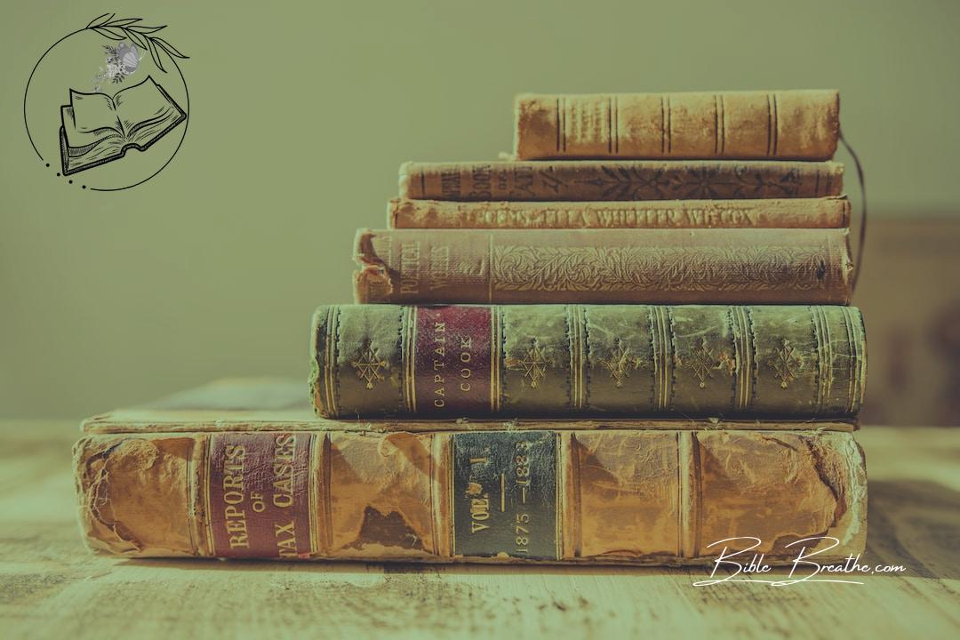 shallow focus photography of stack of books