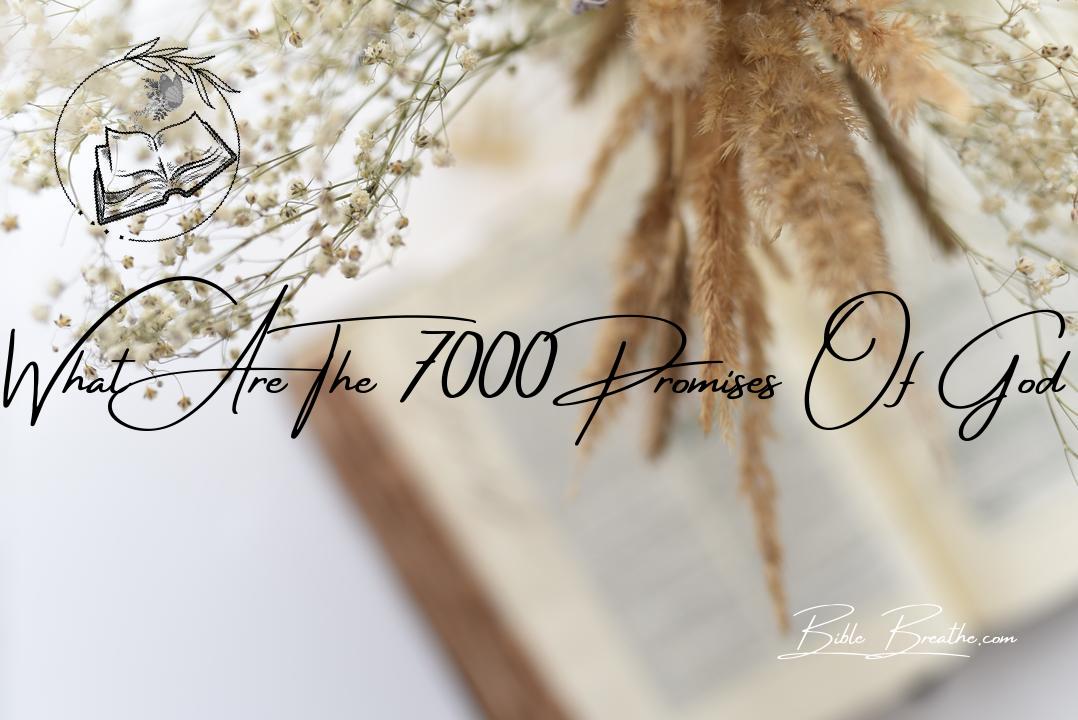 what are the 7000 promises of god BibleBreathe Featured Image
