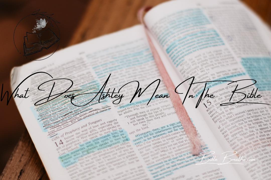what does ashley mean in the bible BibleBreathe Featured Image