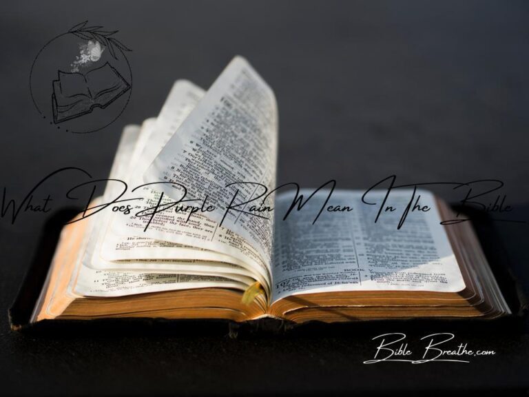 divine-imagery-what-does-purple-rain-mean-in-the-bible-2025