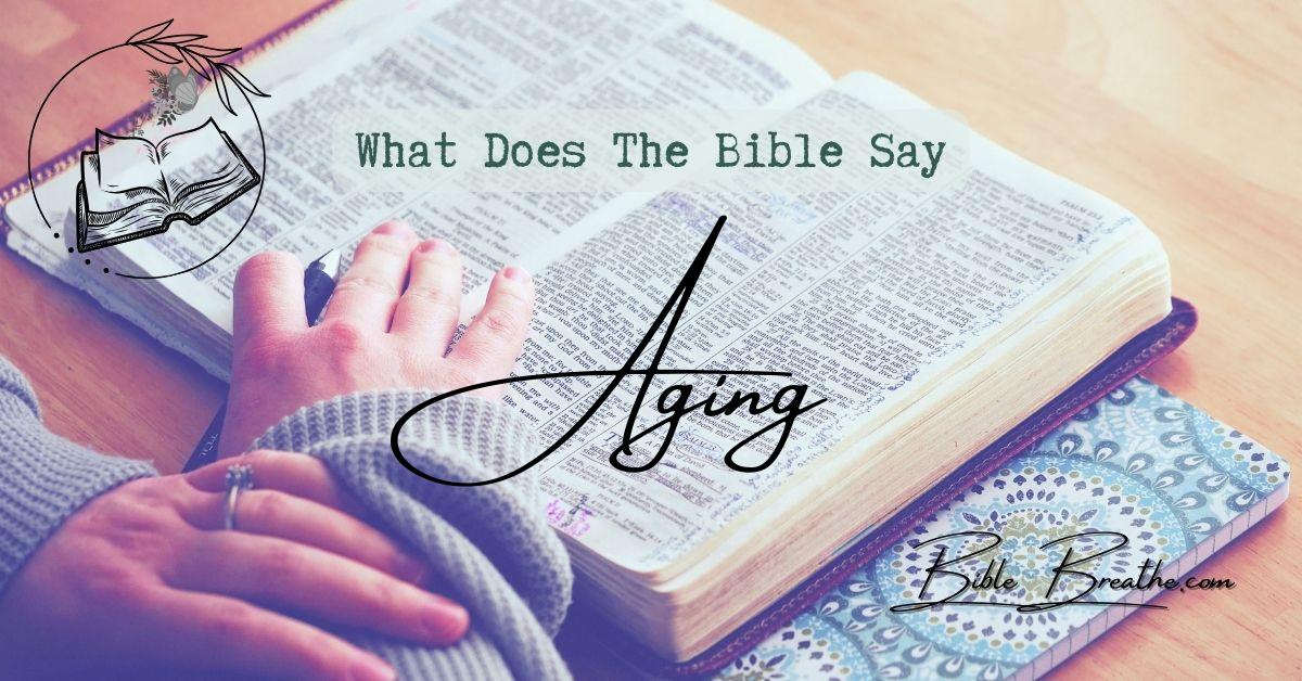 what does the bible say about aging BibleBreathe Featured Image