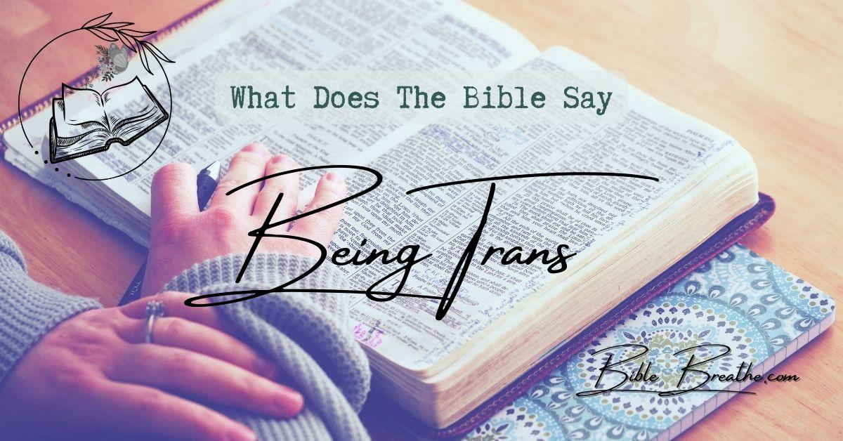 what does the bible say about being trans BibleBreathe Featured Image