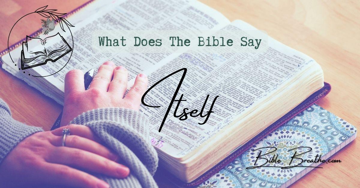 what does the bible say about itself BibleBreathe Featured Image